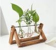 mothers day gifts-Desktop Glass Planter Bulb Plant Terrarium with Wooden Stand