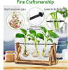 mothers day gifts-Desktop Glass Planter Bulb Plant Terrarium with Wooden Stand