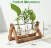 mothers day gifts-Desktop Glass Planter Bulb Plant Terrarium with Wooden Stand